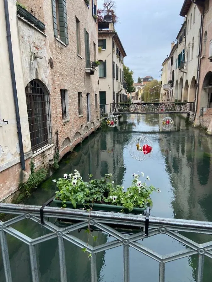 My Comfort Treviso