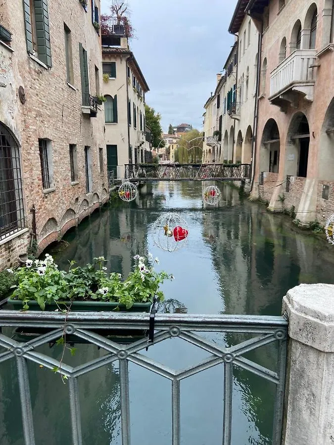 My Comfort Treviso